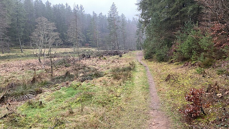 Karta