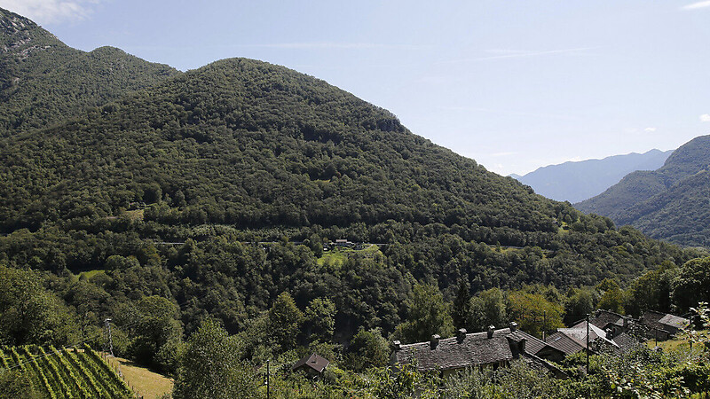 Karta