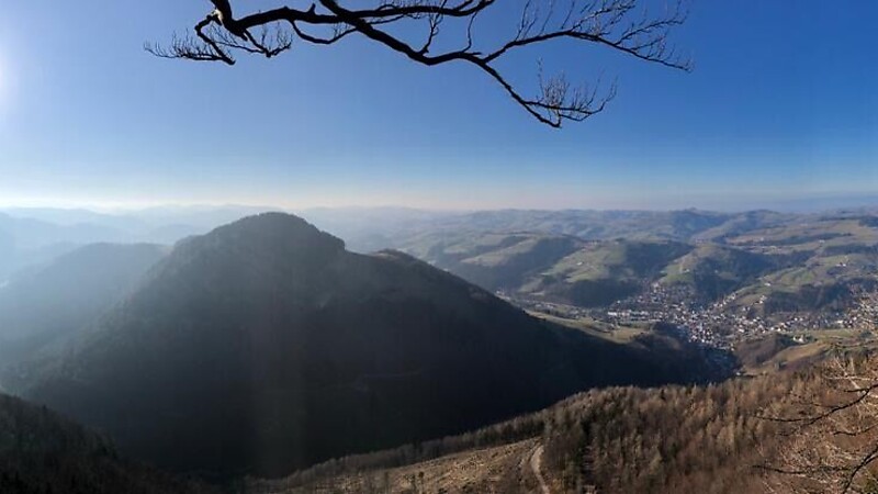 Karta