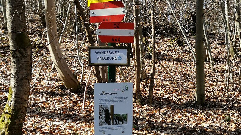Karta
