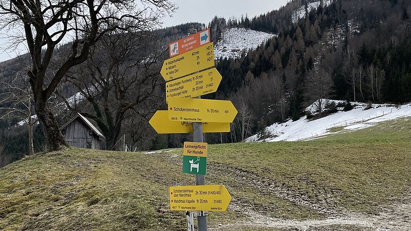Karta