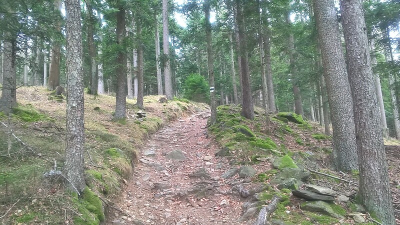 Karta