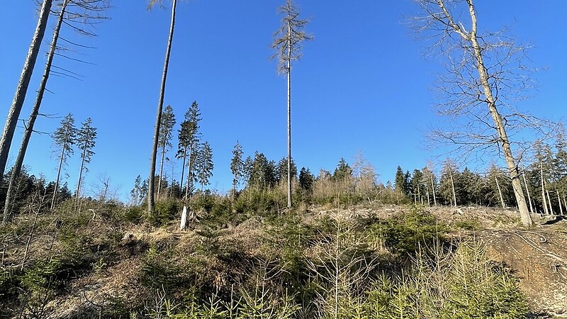 Karta