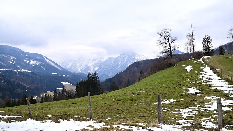 Karta