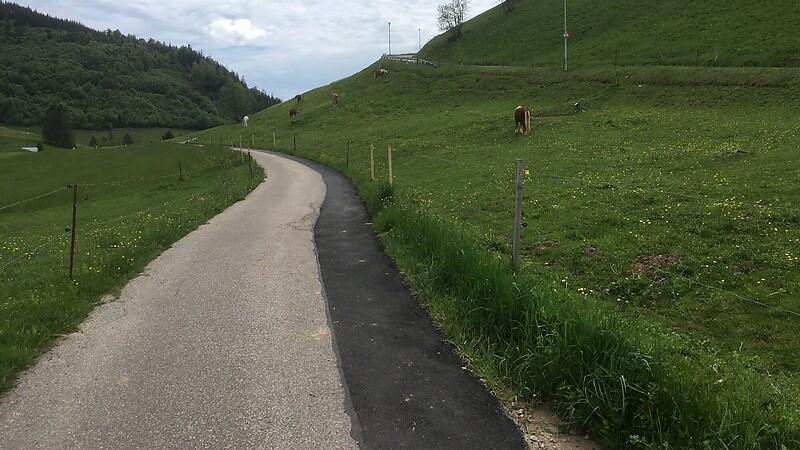 Karta