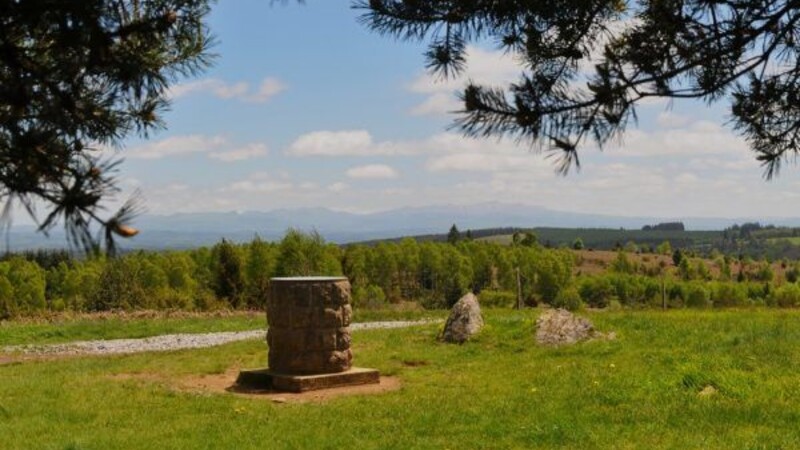 Karta