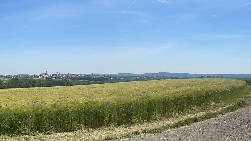 Karta