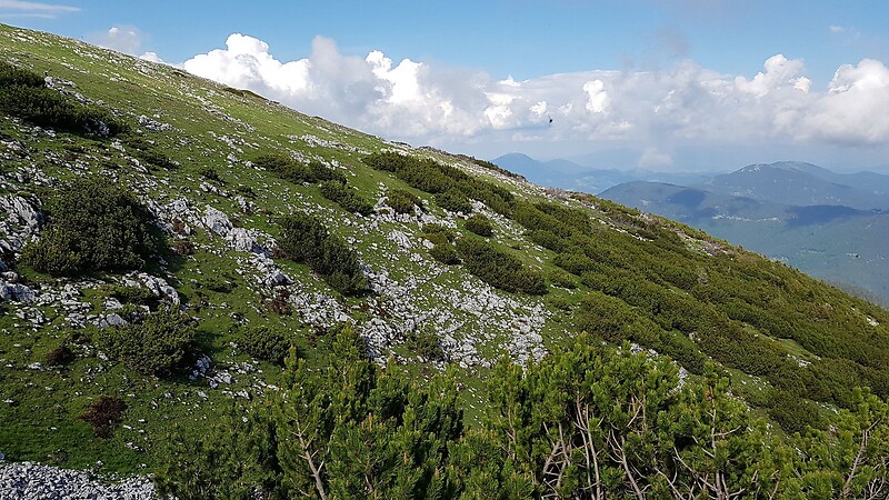 Karta