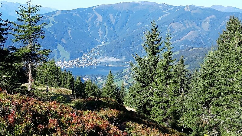 Karta