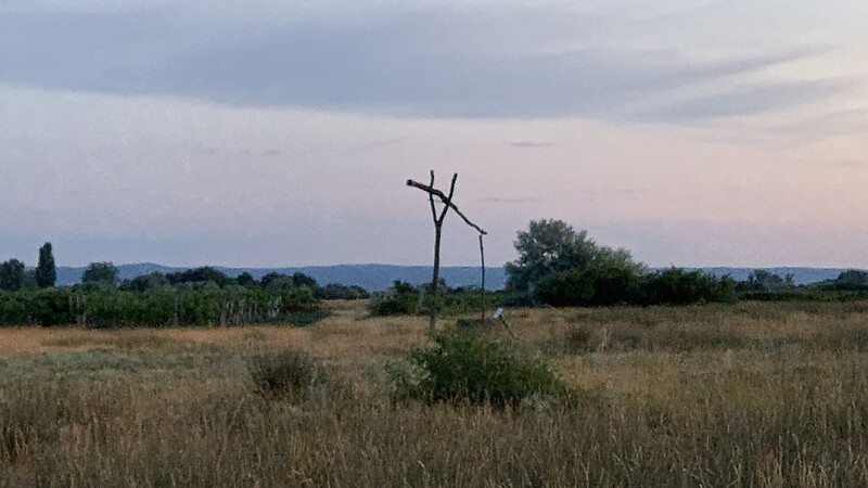 Karta