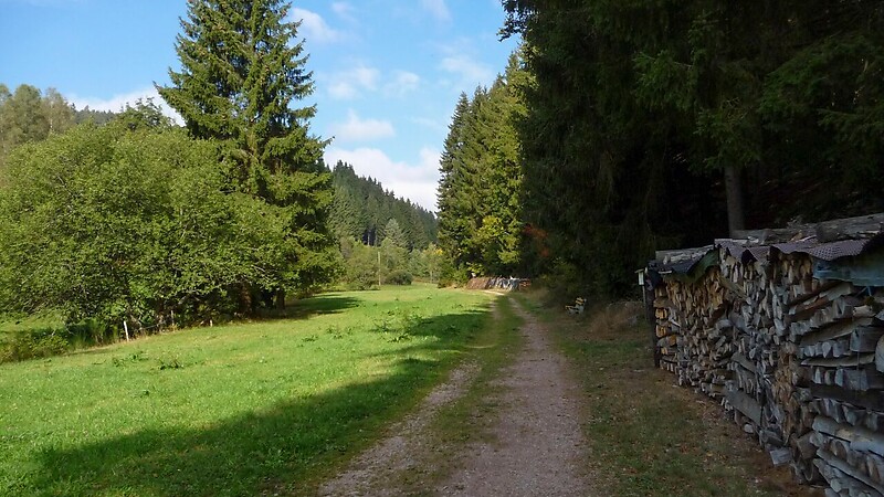 Karta