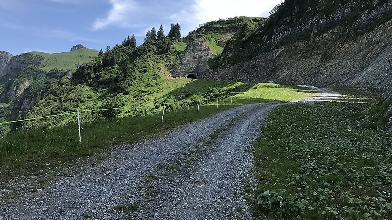 Karta