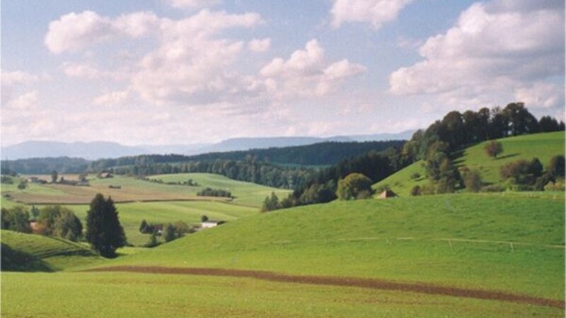 Karta