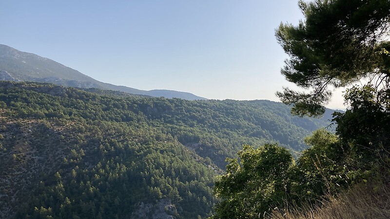 Karta