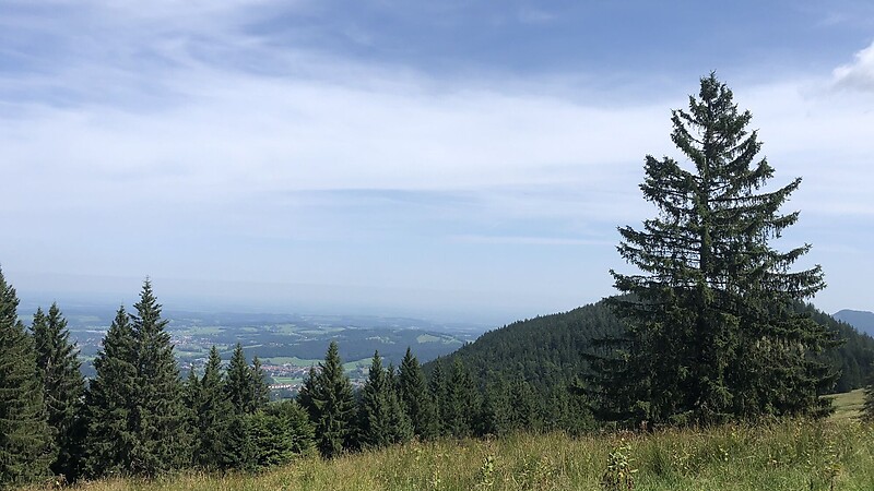 Karta