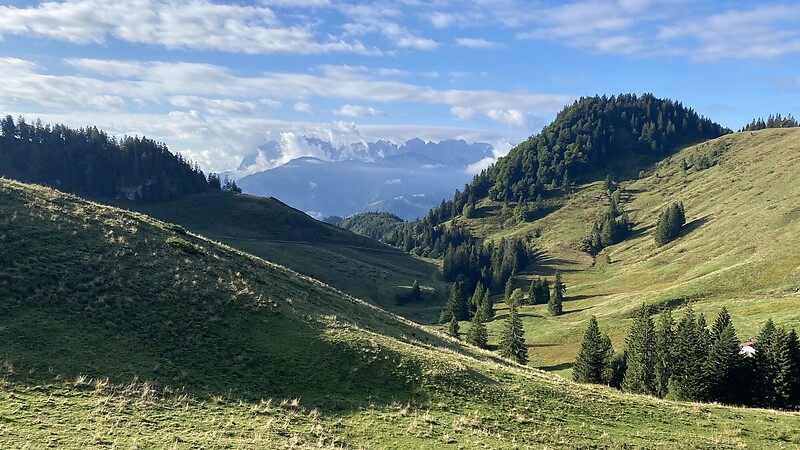Karta