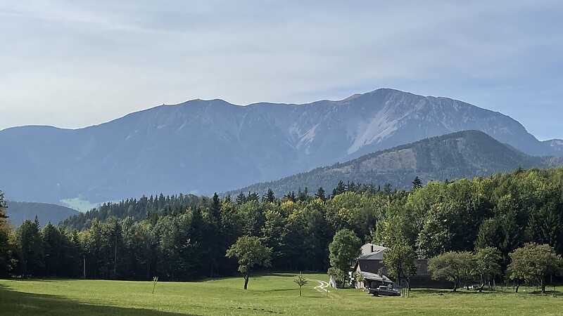 Karta