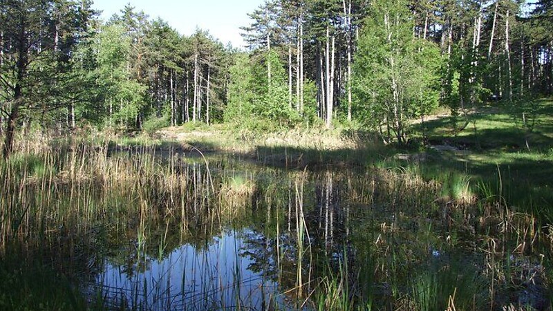 Karta