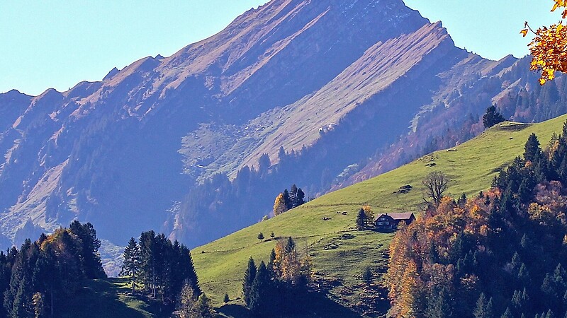 Karta