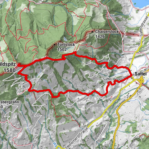 Wildspitz bei Sattel-Aegeri