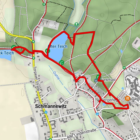 Schmannewitzer Holzweg