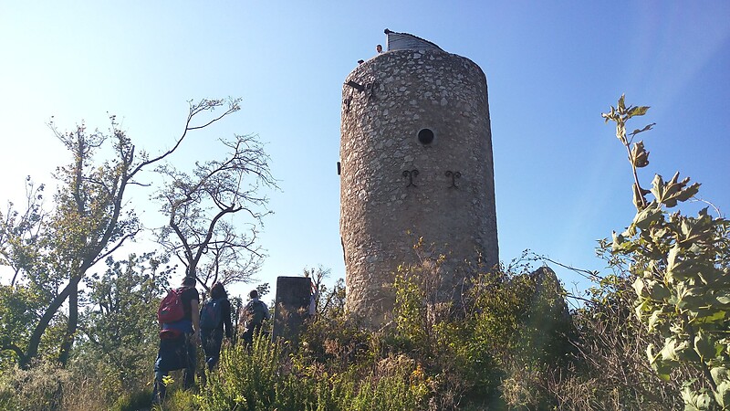 Karta