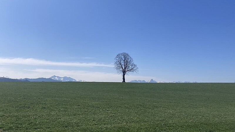 Karta