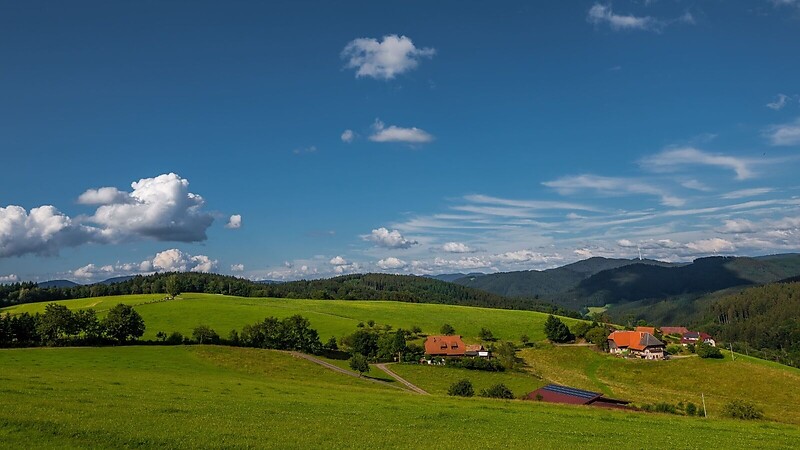 Karta