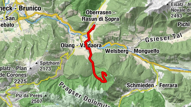 Brunst Alm