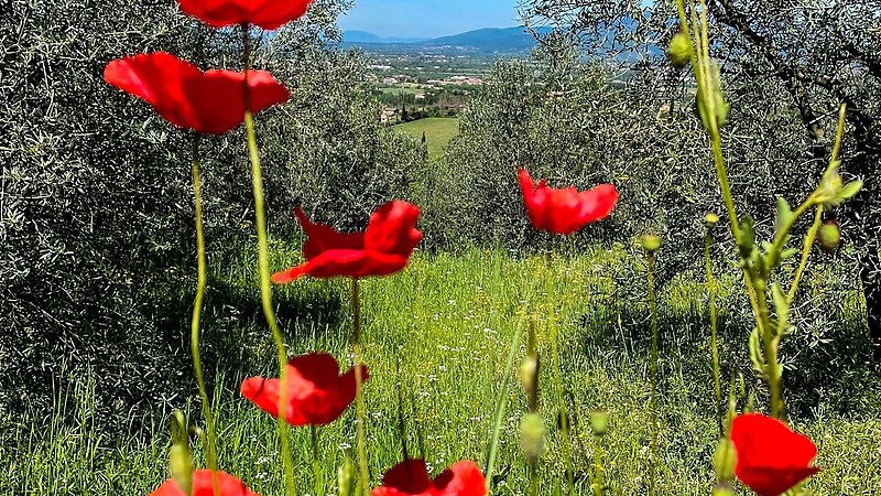 Karta