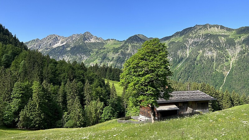 Karta