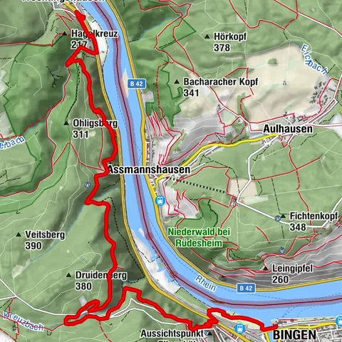 Upper Middle Rhine Valley World Heritage Trail Stage 1 Bingen - Trechtingshausen