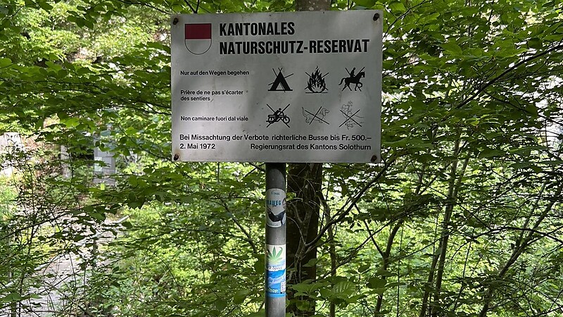 Karta