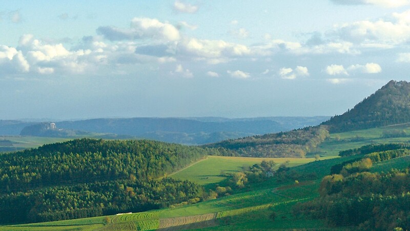 Karta