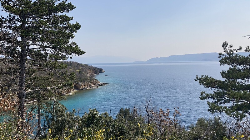 Karta