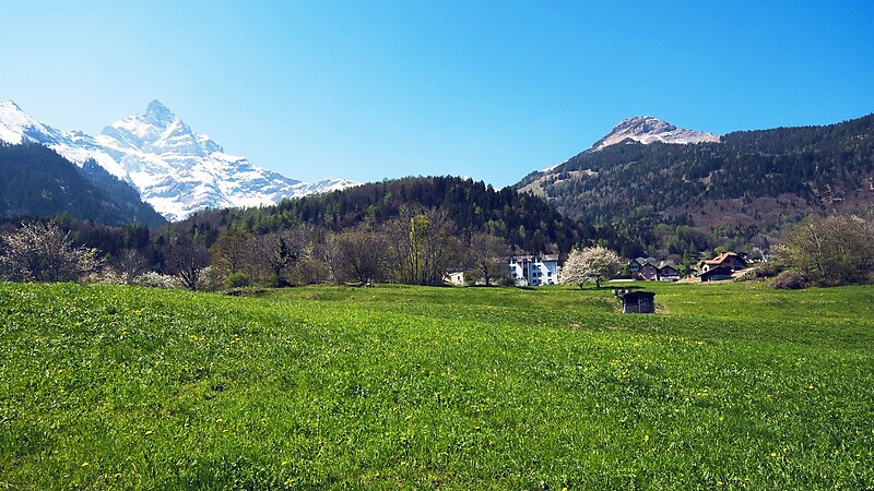Karta