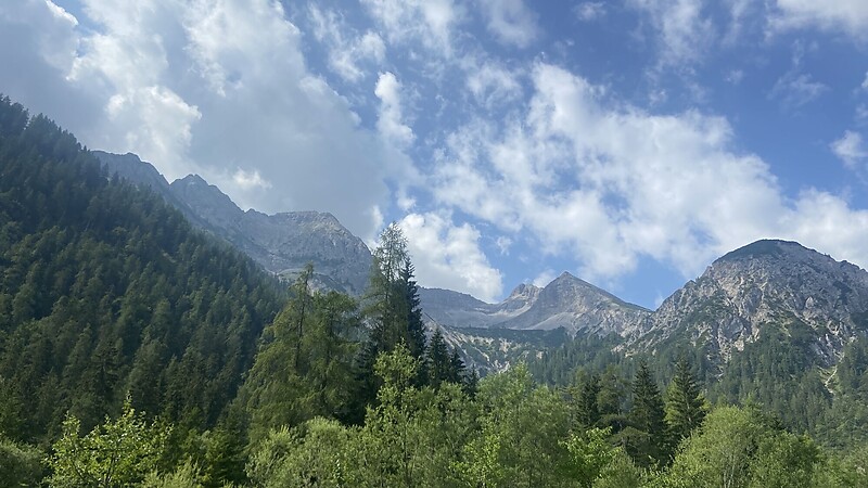 Karta