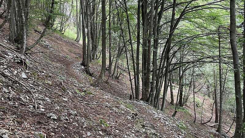 Karta