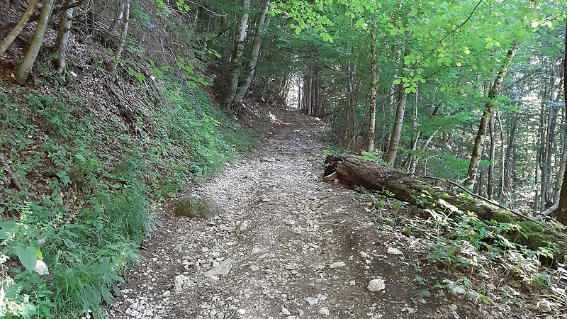 Karta