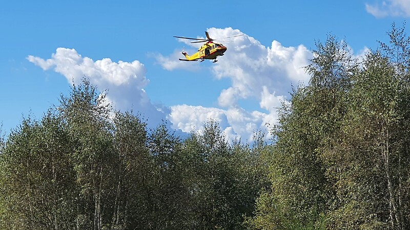Karta