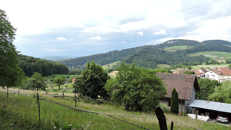 Karta