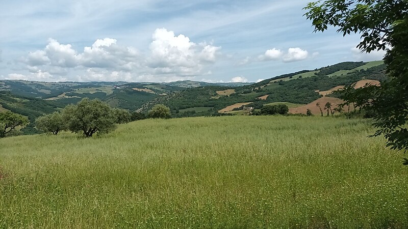 Karta