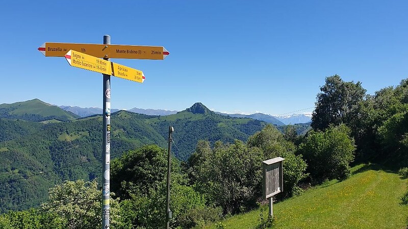 Karta