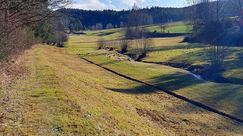 Karta