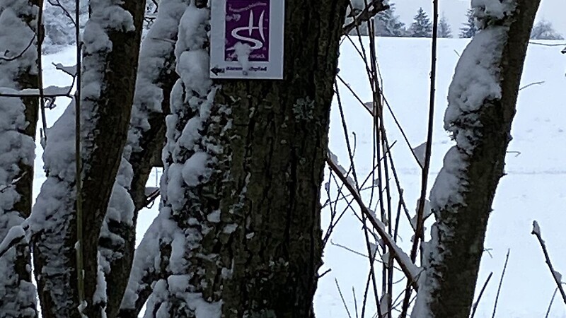 Karta