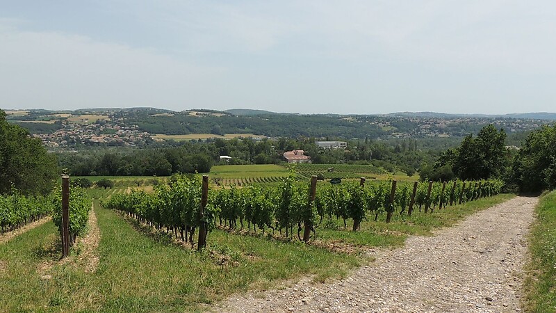 Karta
