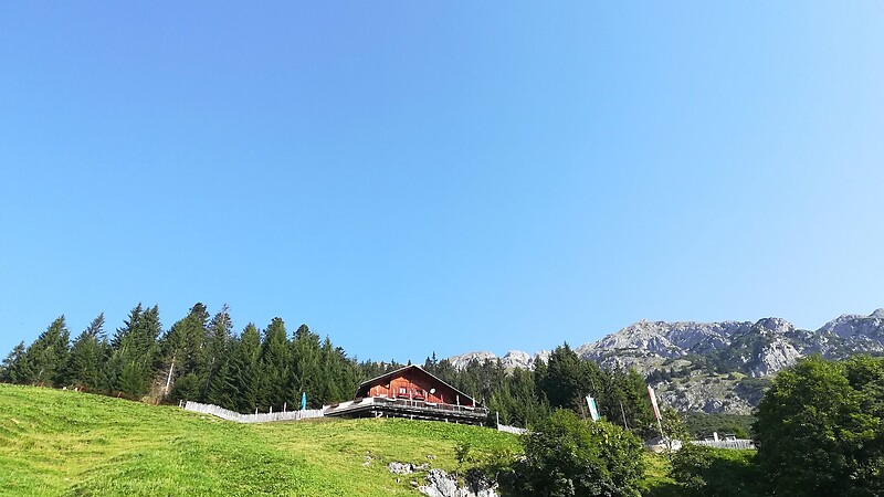 Karta