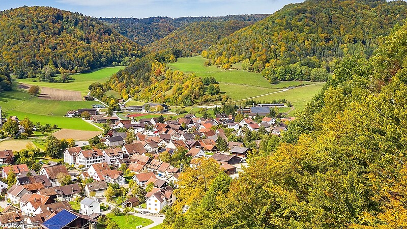 Karta