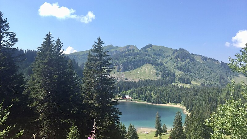 Karta