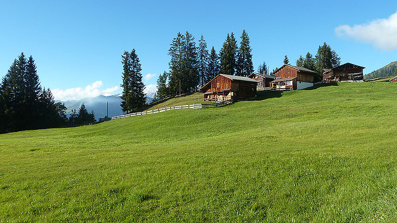 Karta